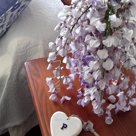 El Panorama Hotell Tapia De Casariego