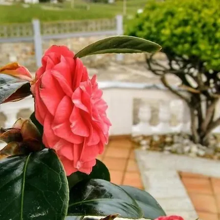 El Panorama Hotell *