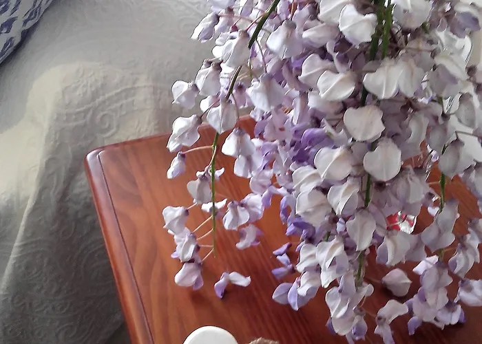 El Panorama Hotel Tapia De Casariego